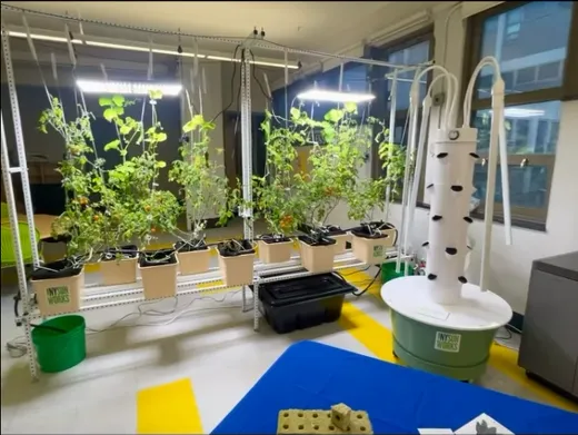 Advancing Controlled Environment Agriculture (CEA) in Schools